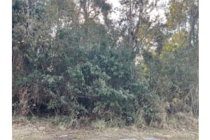 557 Drawdy Way, Sebastian