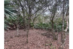 0 Old Grade Road, Fl 33868, Polk City 0 Old Grade Road, Fl 33868, Polk City