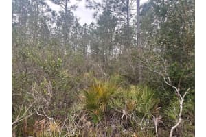 0 Old Grade Road, Fl 33868, Polk City 0 Old Grade Road, Fl 33868, Polk City