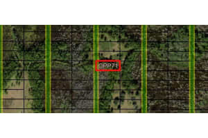 0 Old Grade Road, Fl 33868, Polk City