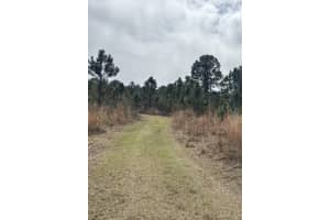 0 Old Grade Road, Fl 33868, Polk City