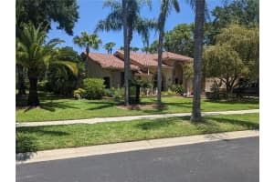 3647 Windber Blvd, PALM HARBOR