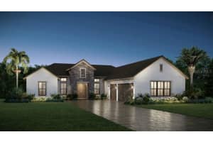 19845 Augusta Preserve Dr, LUTZ 19845 Augusta Preserve Dr, LUTZ