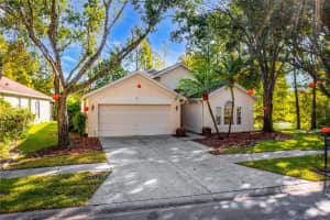 12010 Oaksbury Dr, TAMPA
