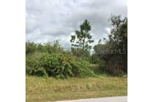 Perennial Rd, NORTH PORT