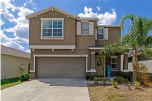 17009 Peaceful Valley Dr, WIMAUMA