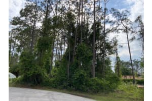 10 Ripton Pl, PALM COAST