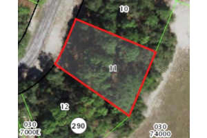 3062 W Marie Dr, CITRUS SPRINGS