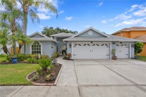 10025 Oasis Palm Dr, TAMPA