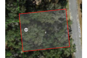 9020 N Caddy Way, CITRUS SPRINGS