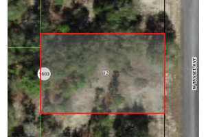 6706 N Tassel Ter, CITRUS SPRINGS