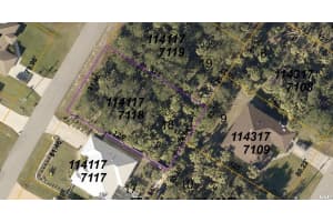 1141177118 Derrick St, NORTH PORT