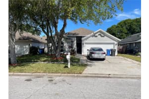 6606 Elliot Dr, TAMPA