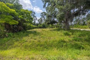 D Allyon Dr, NORTH PORT