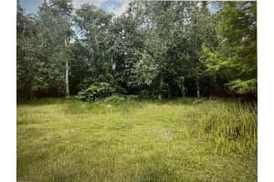 1809 Rouse Lake Rd, ORLANDO