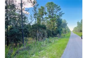 Se 129 Ct, DUNNELLON
