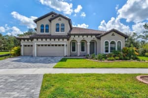14607 Swiss Bridge Dr, LITHIA