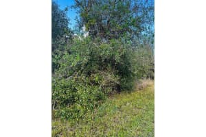 14483 Rowan Ave, PORT CHARLOTTE