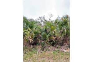 , NORTH PORT
