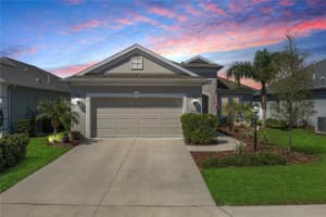 10914 Blue Magnolia Ln, PARRISH