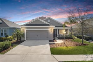 10919 Blue Magnolia Ln, PARRISH