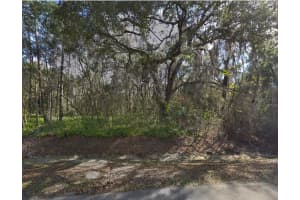Lot 48 Decatur Ave, BROOKSVILLE