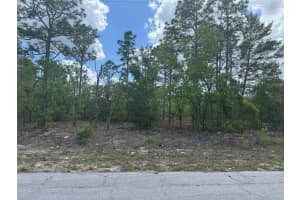2984 W Liza Pl, DUNNELLON