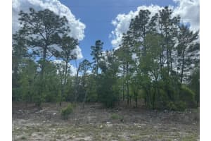 3000 W Liza Pl, DUNNELLON