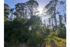 Rufus Rd, NORTH PORT