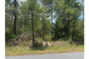 Lot 62 Michigan Ave, WEEKI WACHEE