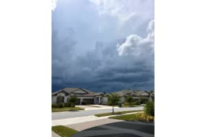9808 Campanula Ct, LAND O LAKES