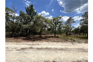 Tbd Se 95th St, DUNNELLON
