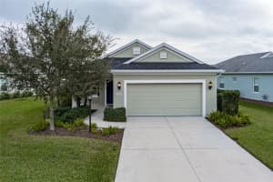 11223 Woodlake Way, PARRISH