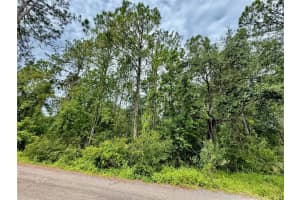 Westpoint Dr #lot#474, WESLEY CHAPEL