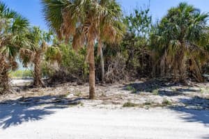 72 Palm Dr, PLACIDA