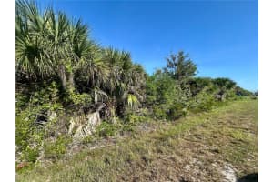 10039 Alvarez St, PORT CHARLOTTE