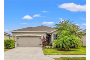 3942 Mossy Limb Ct, PALMETTO