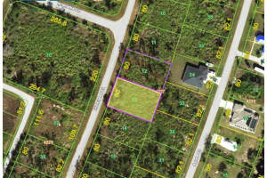 8226 Dimstead St, PORT CHARLOTTE