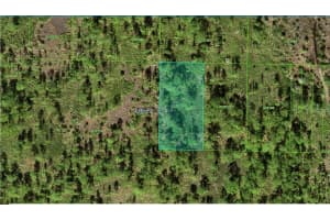31-32-11-000000-022010 River Ranch Blvd, LAKE WALES