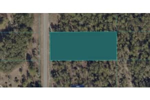 1811-016-025 Sw Little Cliffs Dr, DUNNELLON