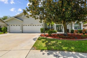11230 Bloomington Dr, TAMPA
