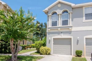 8880 Moonlit Meadows Loop, RIVERVIEW 8880 Moonlit Meadows Loop, RIVERVIEW