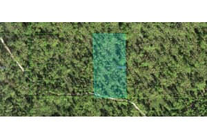 30-31-03-000000-034190 Inaaccesible Trak, LAKE WALES