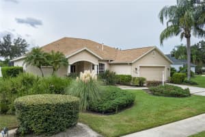 11206 Pine Lilly Pl, LAKEWOOD RANCH