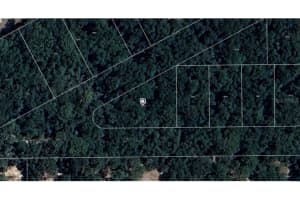 3077 W Grapevine Ct, DUNNELLON
