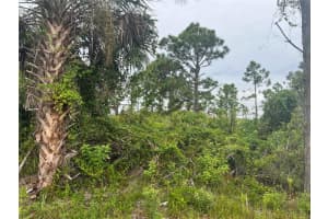 8185 Dimstead St, PORT CHARLOTTE