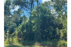 299 Troutdale St, PORT CHARLOTTE