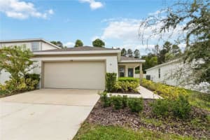 17391 Million Lakes Ct, CLERMONT