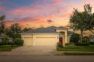 16422 Rivers Reach Blvd, PARRISH