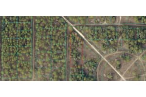 2004-170-005 Sw 157th Ct, OCALA 2004-170-005 Sw 157th Ct, OCALA